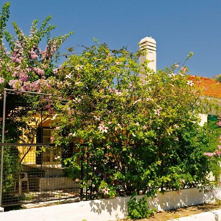 House With Garden Near The Sea Apartment Agia Efimia Exterior foto