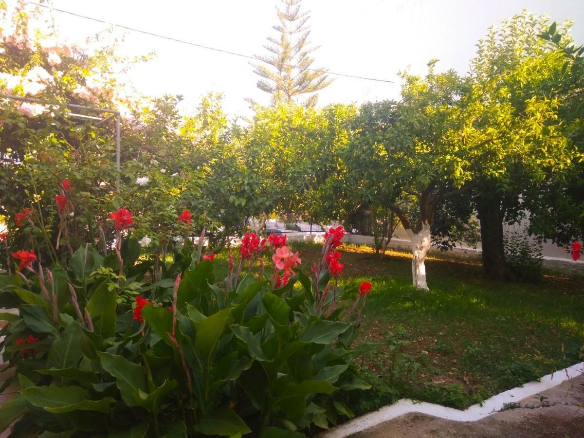 House With Garden Near The Sea Apartment Agia Efimia Exterior foto