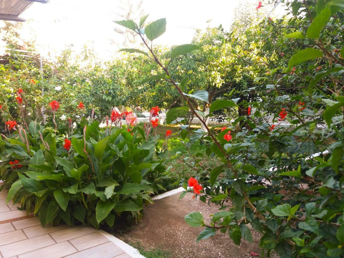 House With Garden Near The Sea Apartment Agia Efimia Exterior foto