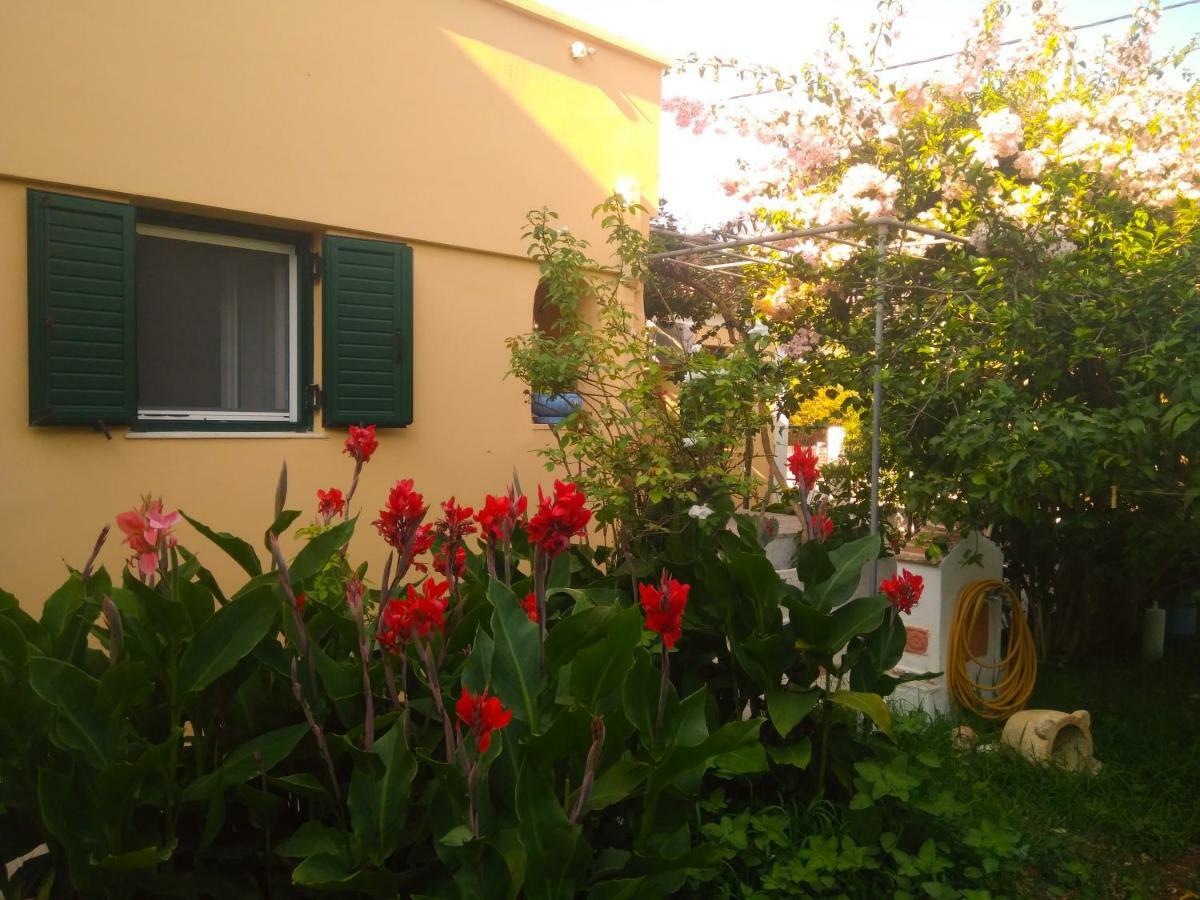 House With Garden Near The Sea Apartment Agia Efimia Exterior foto