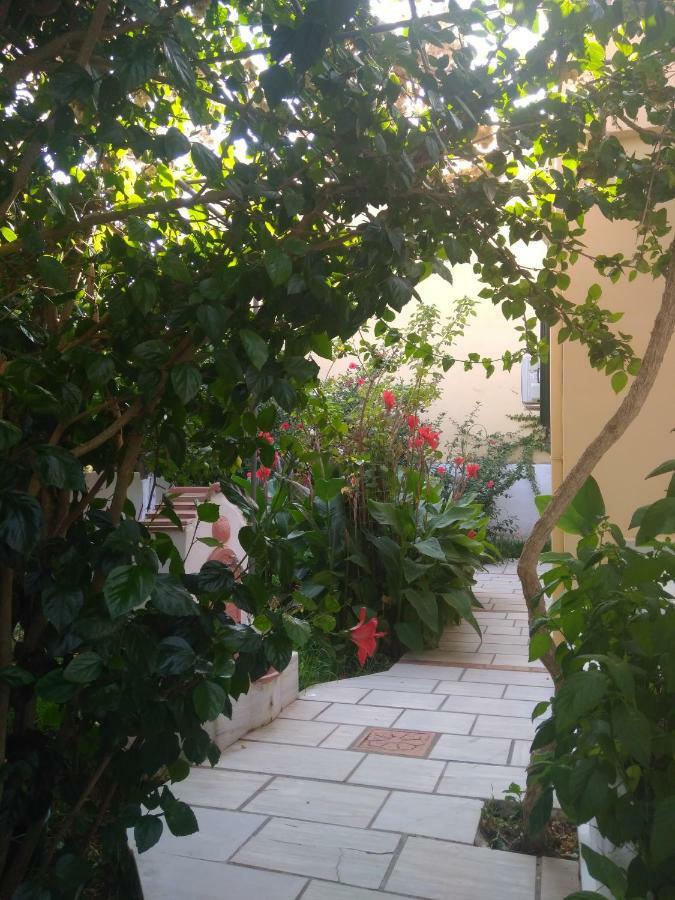House With Garden Near The Sea Apartment Agia Efimia Exterior foto